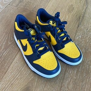 NEW Nike Michigan Dunks Low